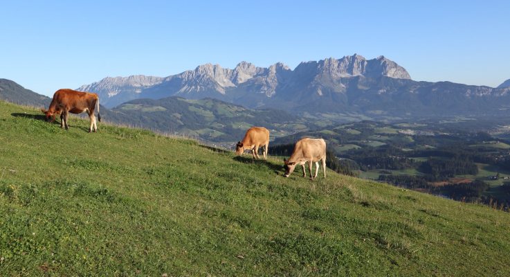 IMG_4659-Taylor-Wohlschutz