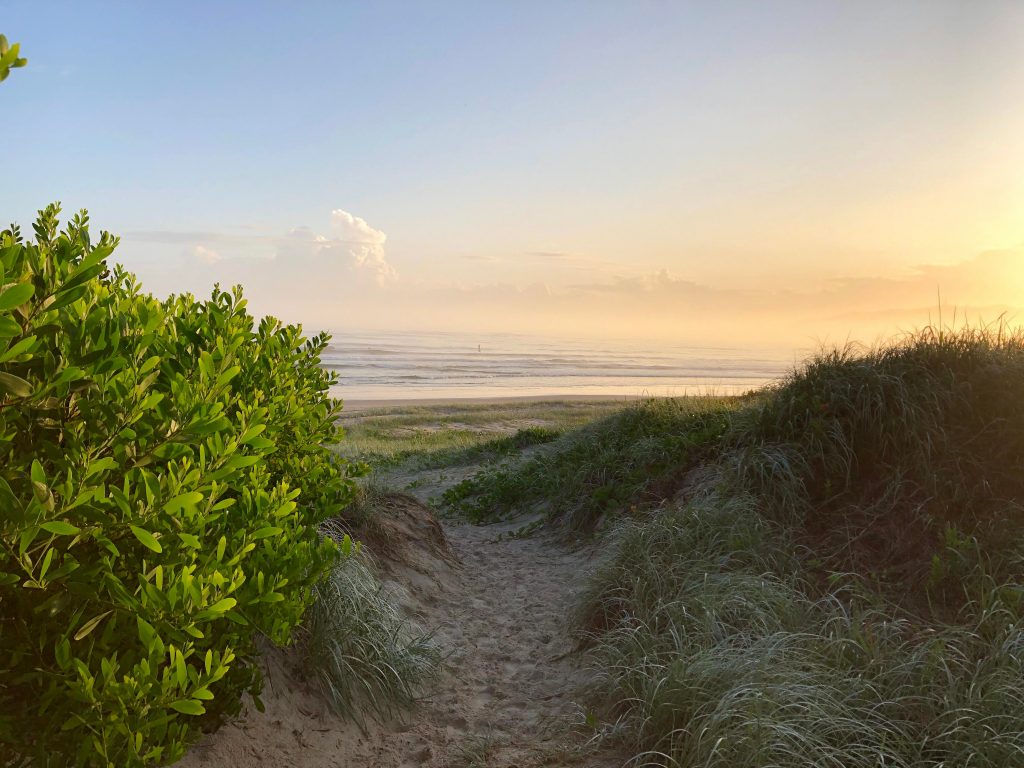 IMG_3139 - Amelia Helpard